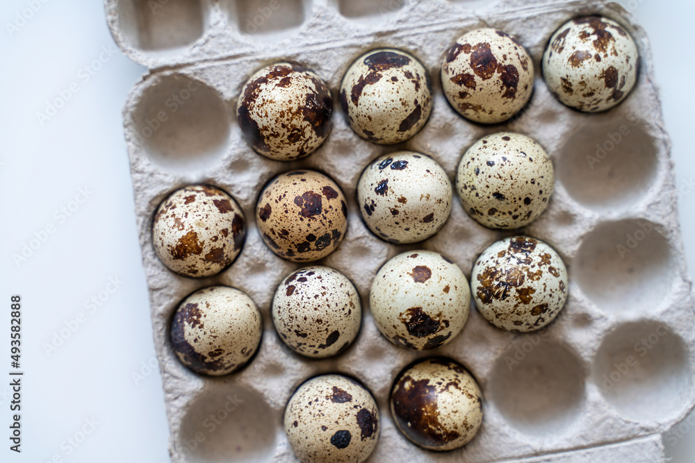 Spotted quail eggs in an egg box on a light background, natural eco-friendly products. Spotted quail eggs in an egg box on a light background, natural eco-friendly products.
