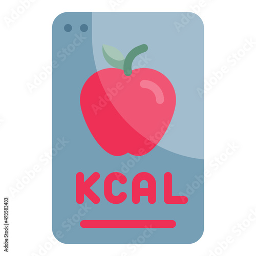 application flat icon