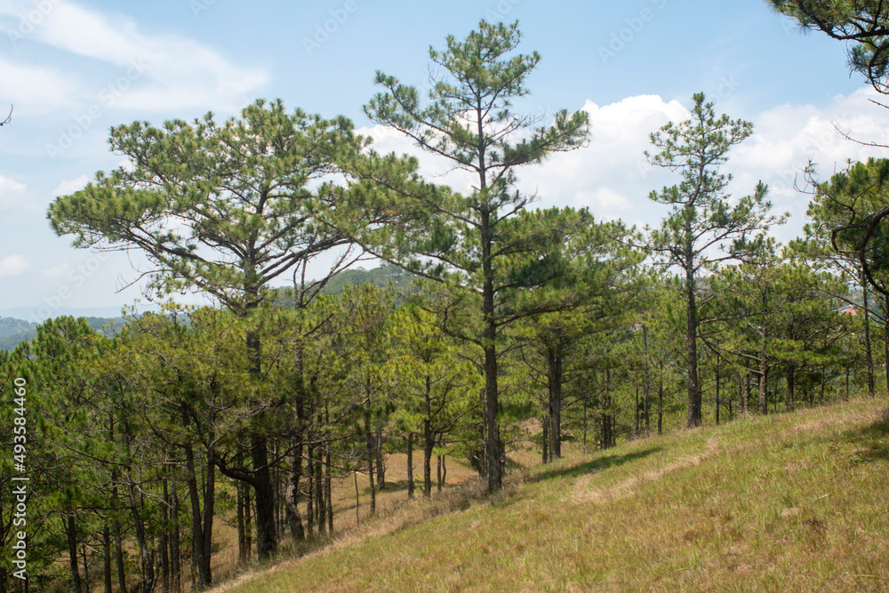 Amazing landscape of Da Lat city, Vietnam Amazing landscape of Da Lat city, Vietnam