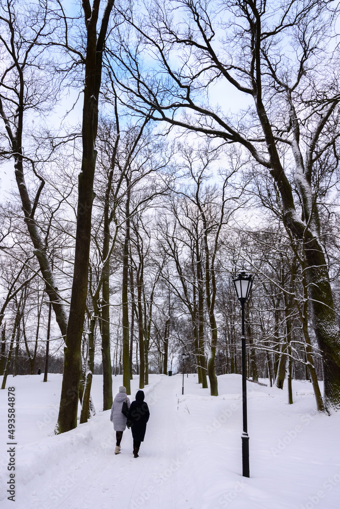 Winter landscape in a park with trees covered with snow Winter landscape in a park with trees covered with snow