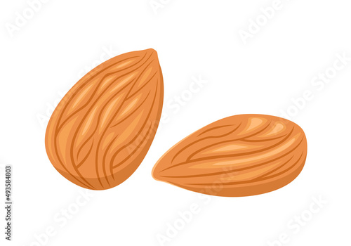 Almond vector icon. Flat illustration of nuts.