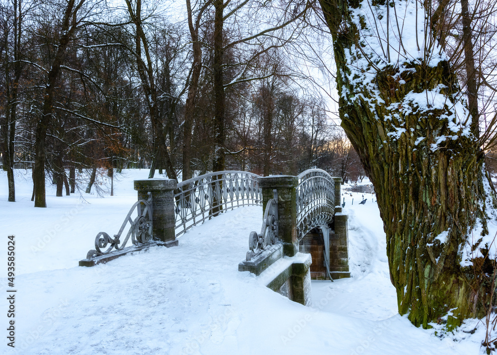Bridges in a snow-covered winter park in Gatchina, Leningrad region, Russia