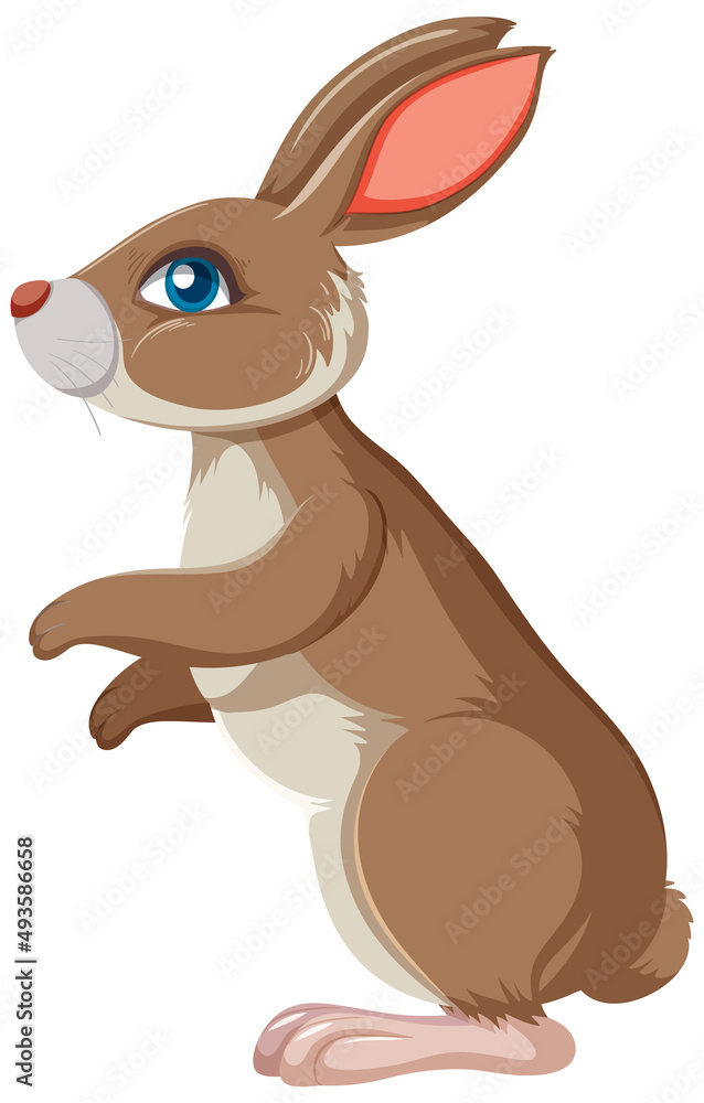 Fototapeta premium Brown bunny standing sideway
