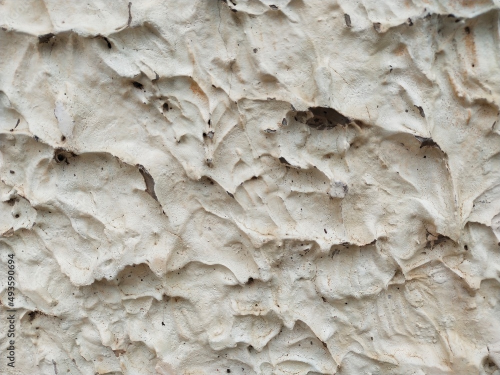 The concrete wall has a unique pattern that is perfect for a vintage design. The concrete wall has a unique pattern that is perfect for a vintage design.