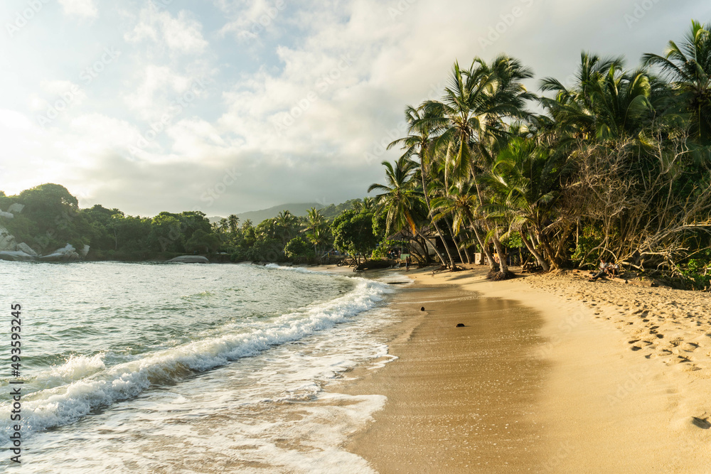 beach with palm trees, Tayrona park, Colombia