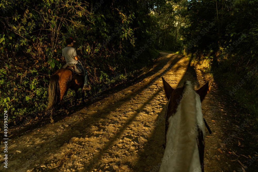 Horse riding during sunset time.