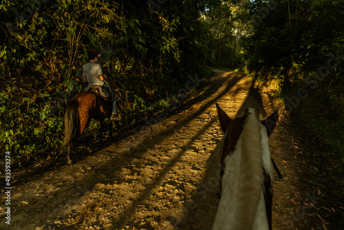 Obraz na płótnie Horse riding during sunset time. w salonie