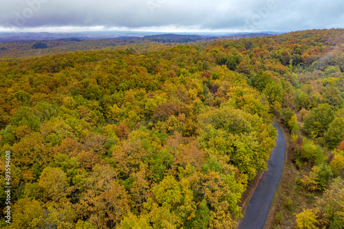 Autumn colorful forest. Aerial view from a drone over road between autumn trees in the forest.