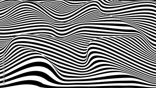 Vector optical illusion with black and white lines. Abstract curve wave background. © ihor