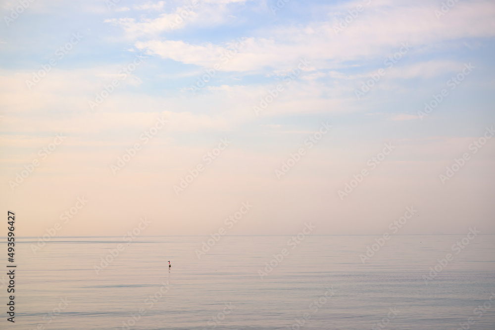 春の瀬戸内海の海岸　夕方の防波堤