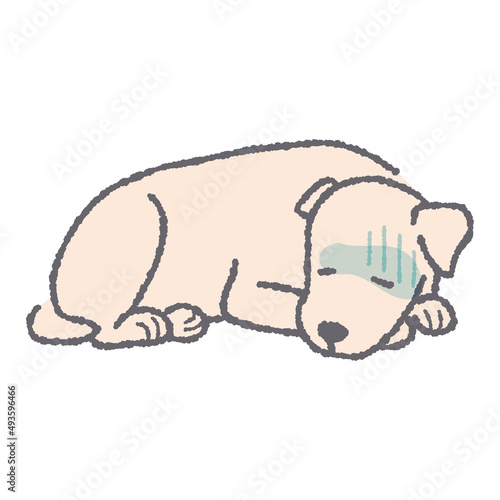 元気がない犬のイラスト