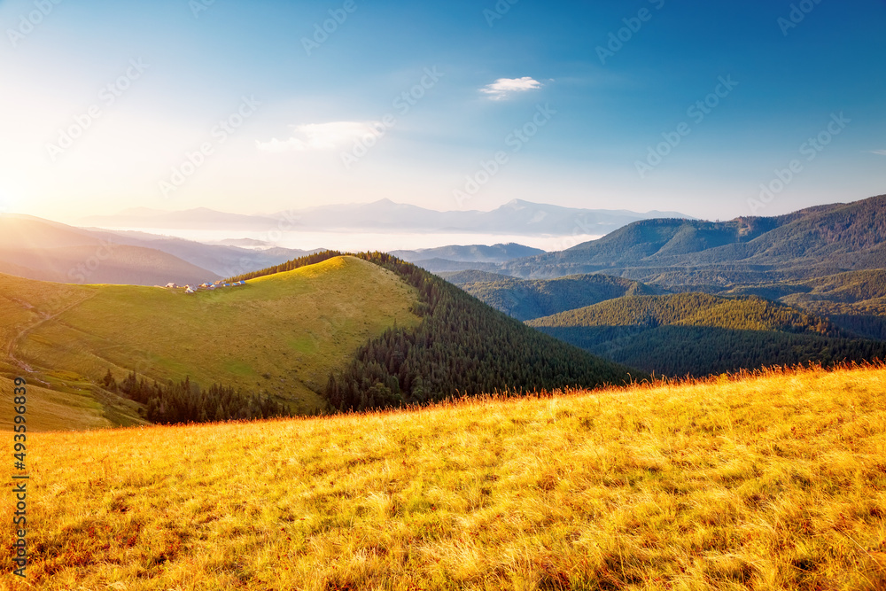 Splendid summer scene of a rolling hills on a sunny day. Carpathian mountains, Ukraine. Splendid summer scene of a rolling hills on a sunny day. Carpathian mountains, Ukraine.