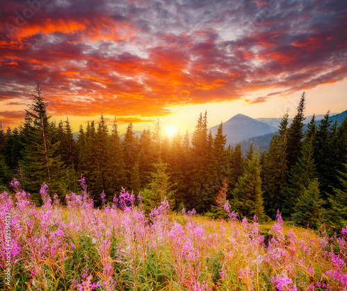 Spectacular sunset in the valley of the mountains. Carpathian mountains, Ukraine.