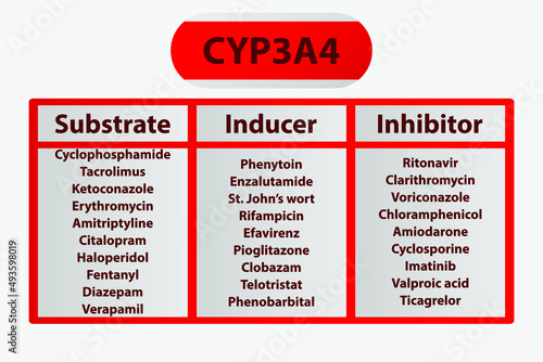 CYP3A4 Cytochrome p450 enzyme pharmaceutical substrates, inhibitors and inducers examples, for pharmacology, medicine, biochemistry education. photo