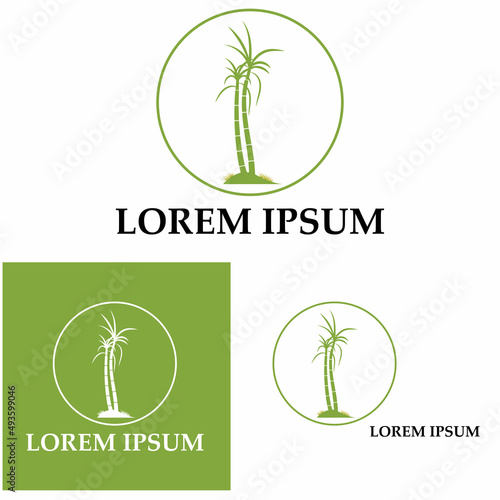Sugar cane plant logo vector illustration design