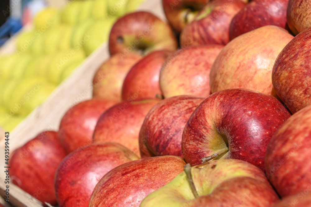 alimentation pomme caisse marchand recolte marché alimentation pomme caisse marchand recolte marché