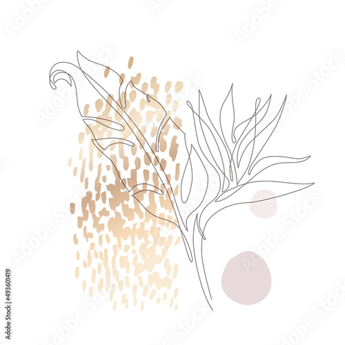 Minimal continuous line art flower, leaf on geometric shapes, paint splatter,...