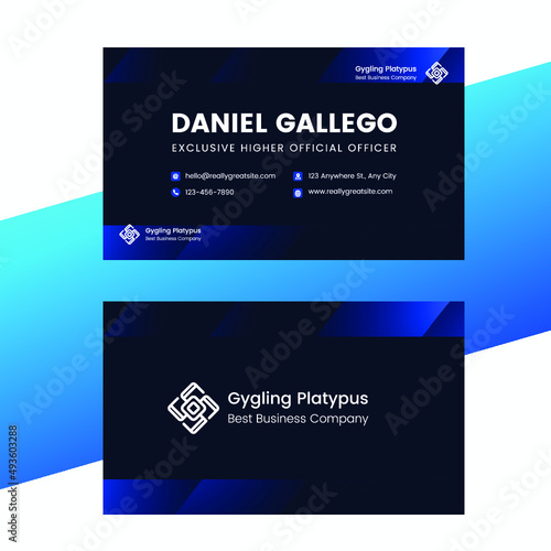 Dark Blue & Blue Modern Official Business Card photo