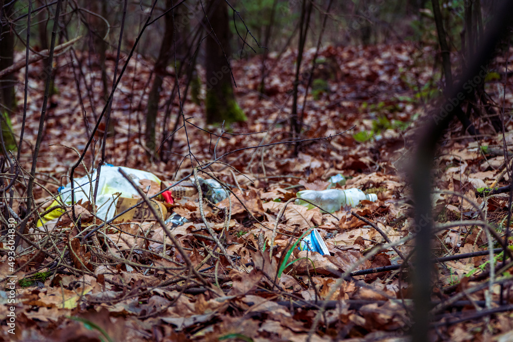 Environmental protection - human garbage in the forest destroying the environment (Czech republic, Czechia).
