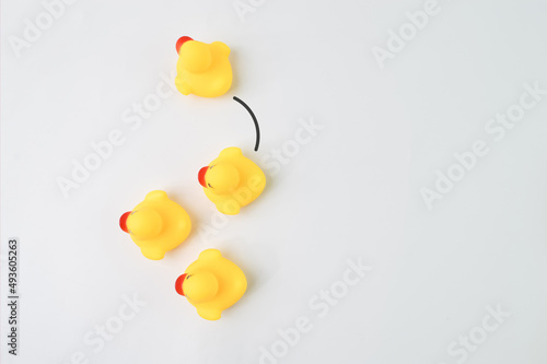 Toy duck heading with different direction. Business innovation and unique idea concept.
