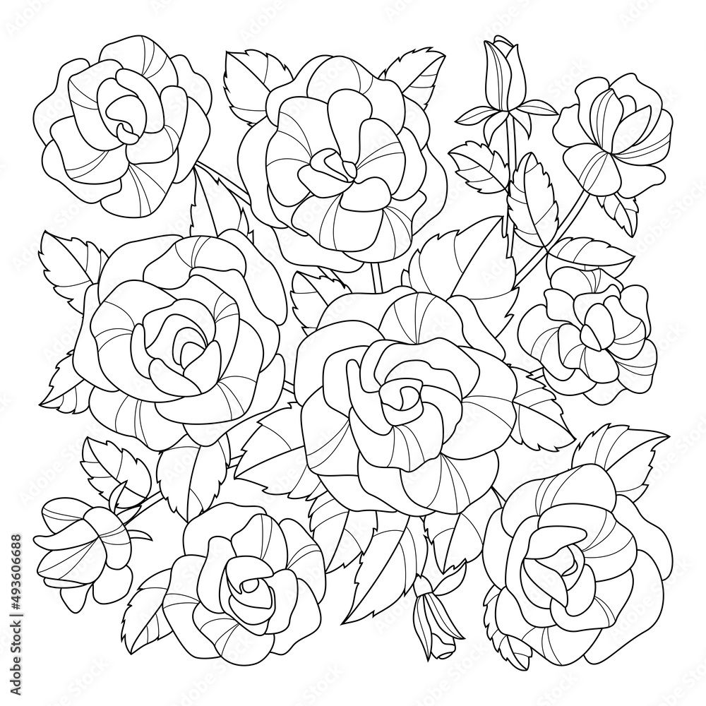 vector roses ornament flowers leaf pattern contour line art coloring page 
