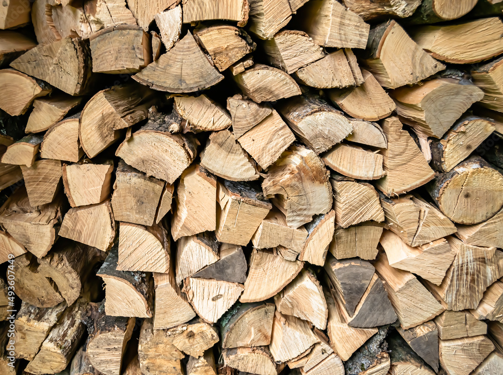 Photography on theme big wall of stacked oak tree logs in cracks Photography on theme big wall of stacked oak tree logs in cracks