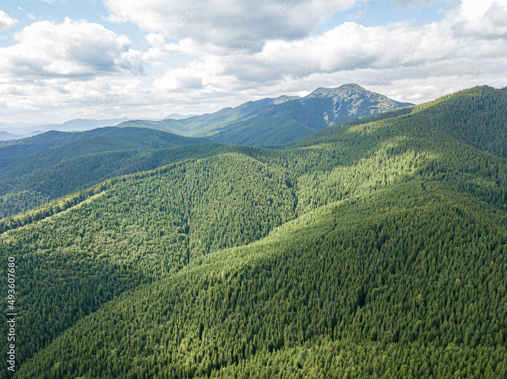 Obraz premium High mountains of the Ukrainian Carpathians in sunny weather. Aerial drone view.