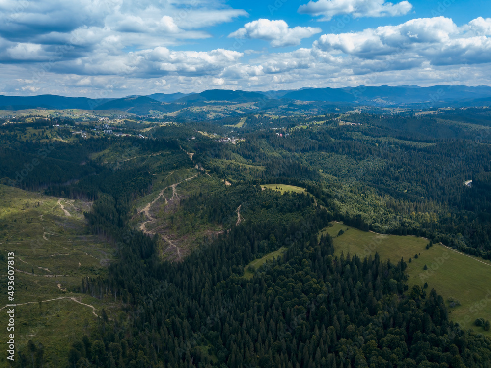 Green mountains of Ukrainian Carpathians in summer. Coniferous trees on the slopes. Aerial drone view.