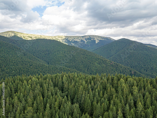 Green slopes of Ukrainian Carpathian mountains in summer. Cloudy morning, low clouds. Aerial drone view.
