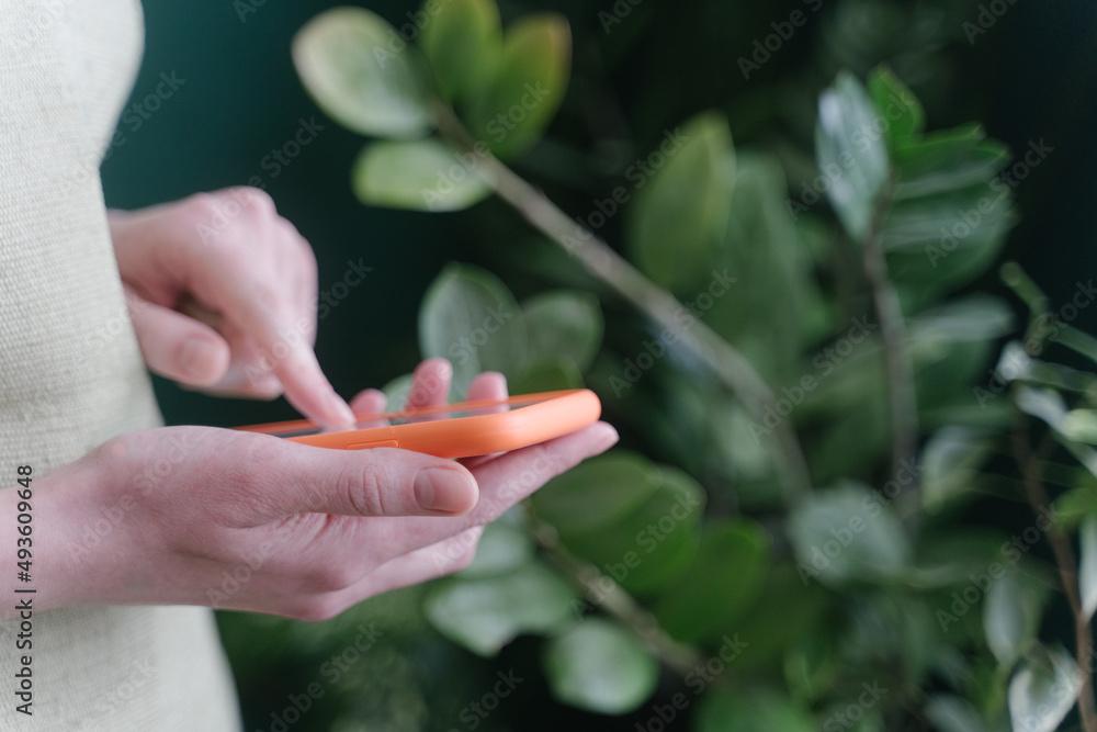 E-commerce. The entrepreneur sells plants through the Internet. Close-up of a phone in the hands of a woman flower shop owner