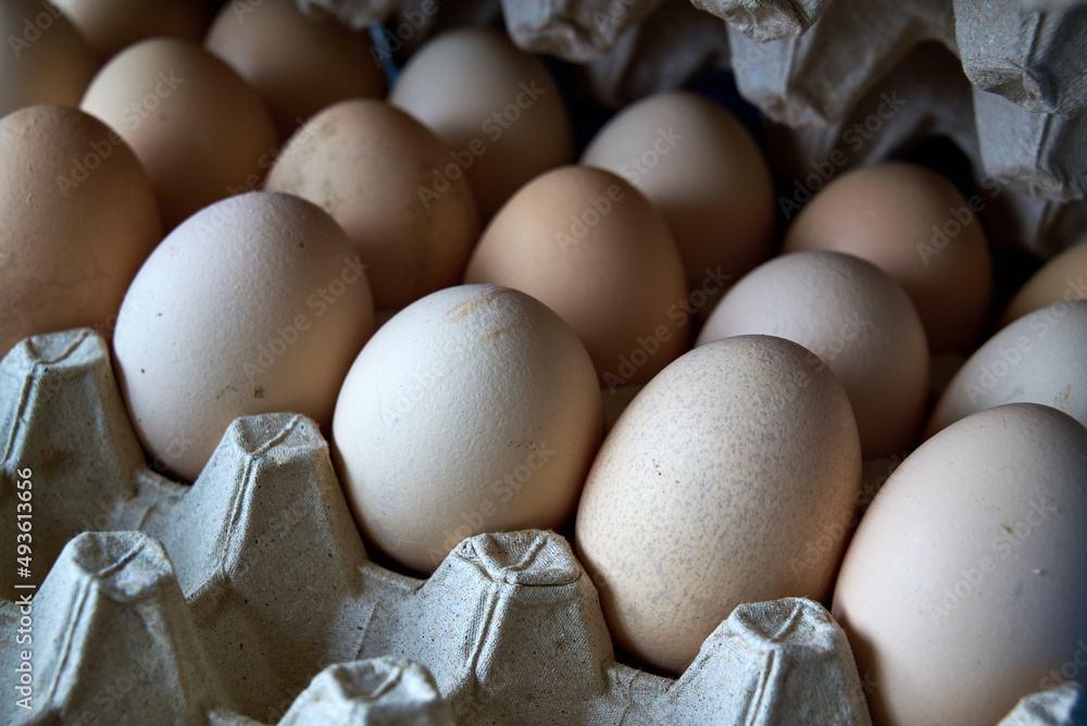 eggs in a cardboard box in the kitchen in the daylight