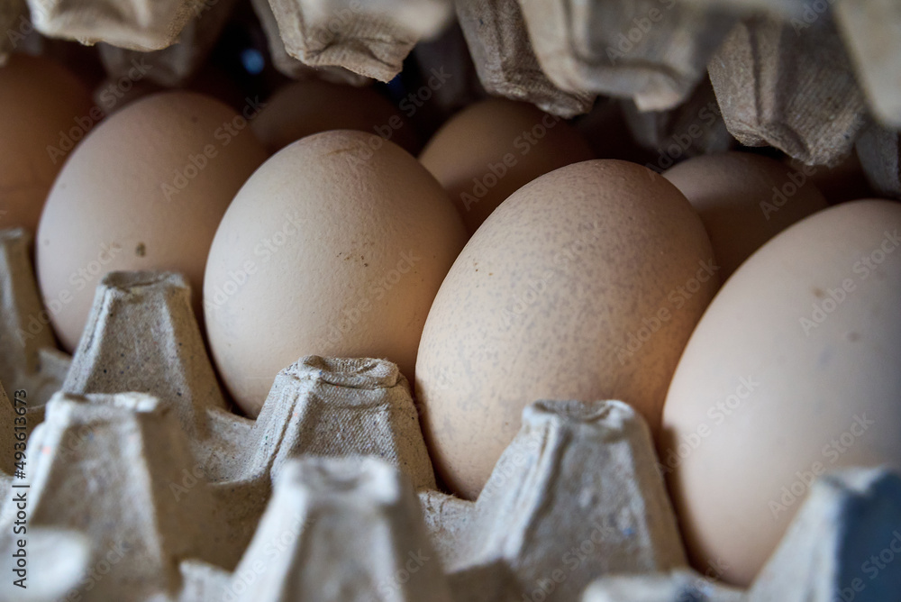 eggs in a cardboard box in the kitchen in the daylight