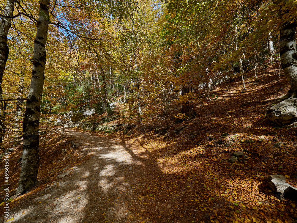Fototapeta premium Views on the hiking trail in Ordesa National Park, Spain.