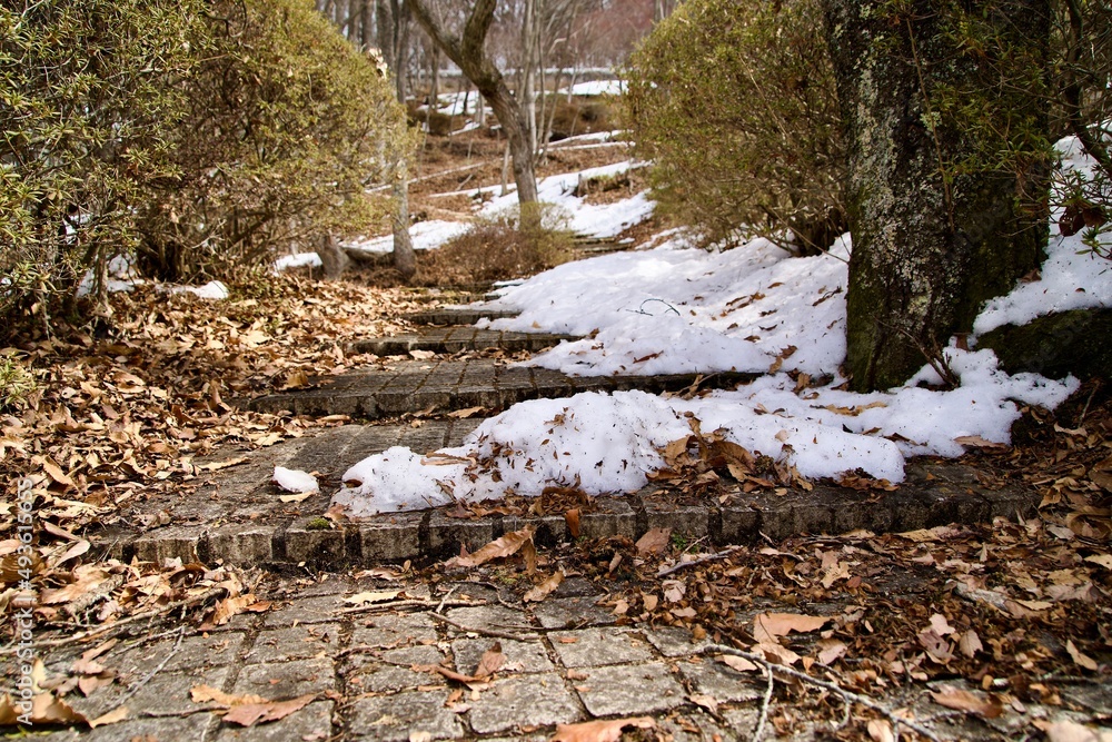 Fallen leaves and snow scattered on the tile steps. Fallen leaves and snow scattered on the tile steps.