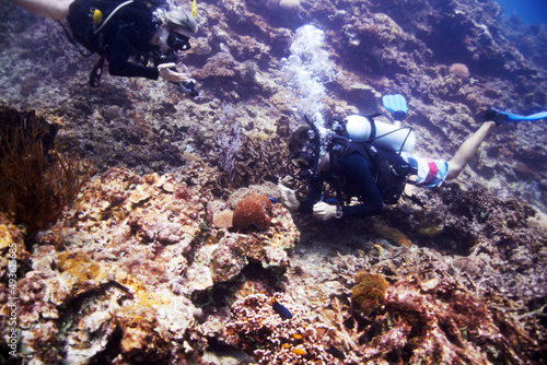 Learning about a hidden environment. Two scuba divers examine a beautiful coral reef.