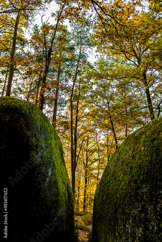 Mystic Landscape Of Nature Park Blockheide With Granite Rock Formations In Waldviertel In Austria photo