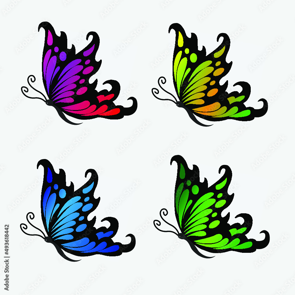 Collection of elegant colored butterflies Collection of elegant colored butterflies