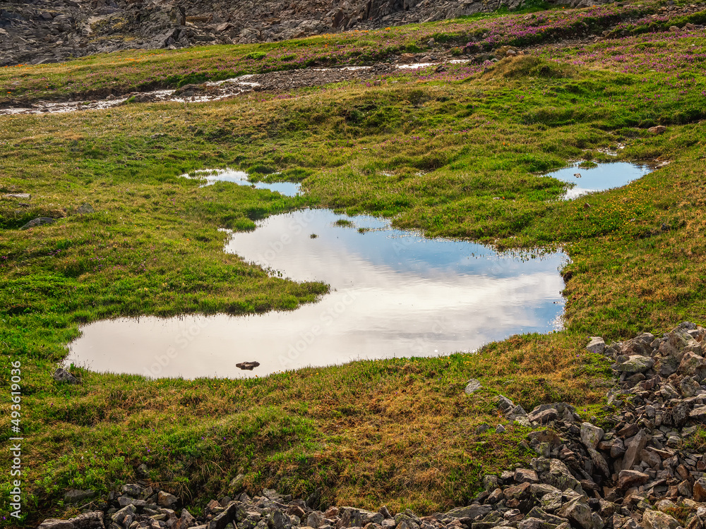 Wet mountain meadow. Big puddles on a green stony meadow. Wet mountain meadow. Big puddles on a green stony meadow.