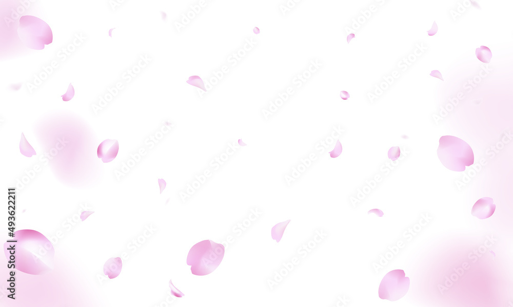 桜が舞う背景（白バック1）