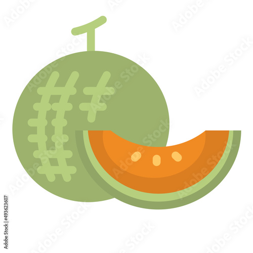 melon flat icon