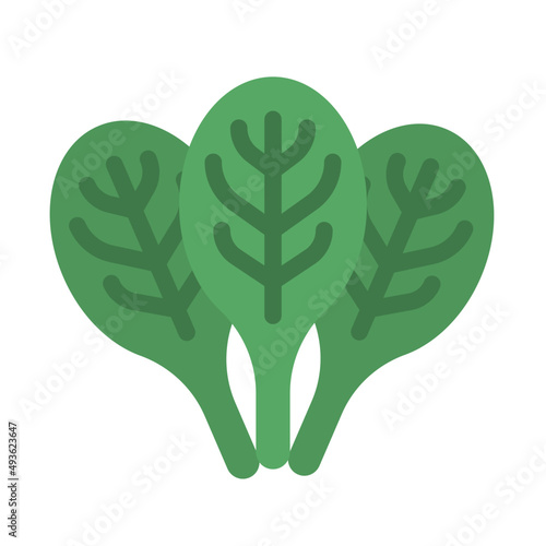 spinach flat icon