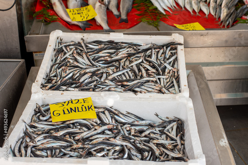 Editorial use only: editorial. Istanbul-Turkey-19.03.2022: fish sales points in istanbul