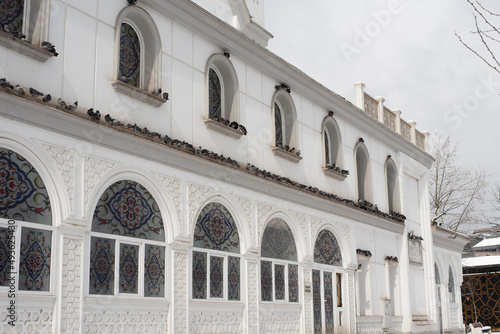 pigeons perched on a mosque in winter © abdullah