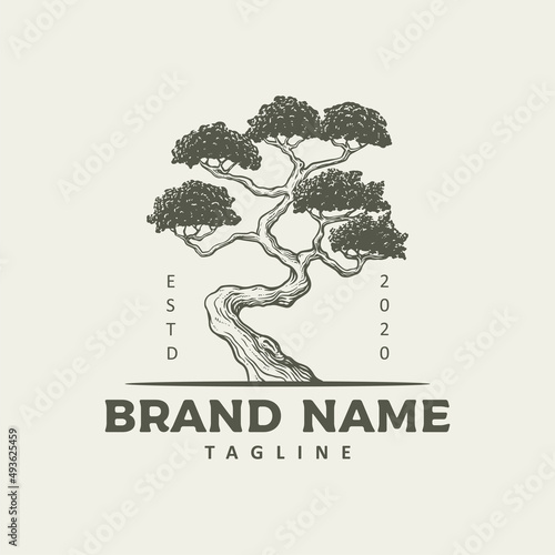 vintage tree logo design illustration