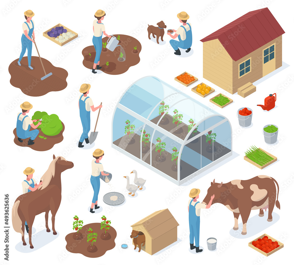 Naklejka premium Isometric garden, farm characters, 3d greenhouse, agriculture elements. Gardeners, farm workers and farm animals vector illustration set. Farm agricultural equipment