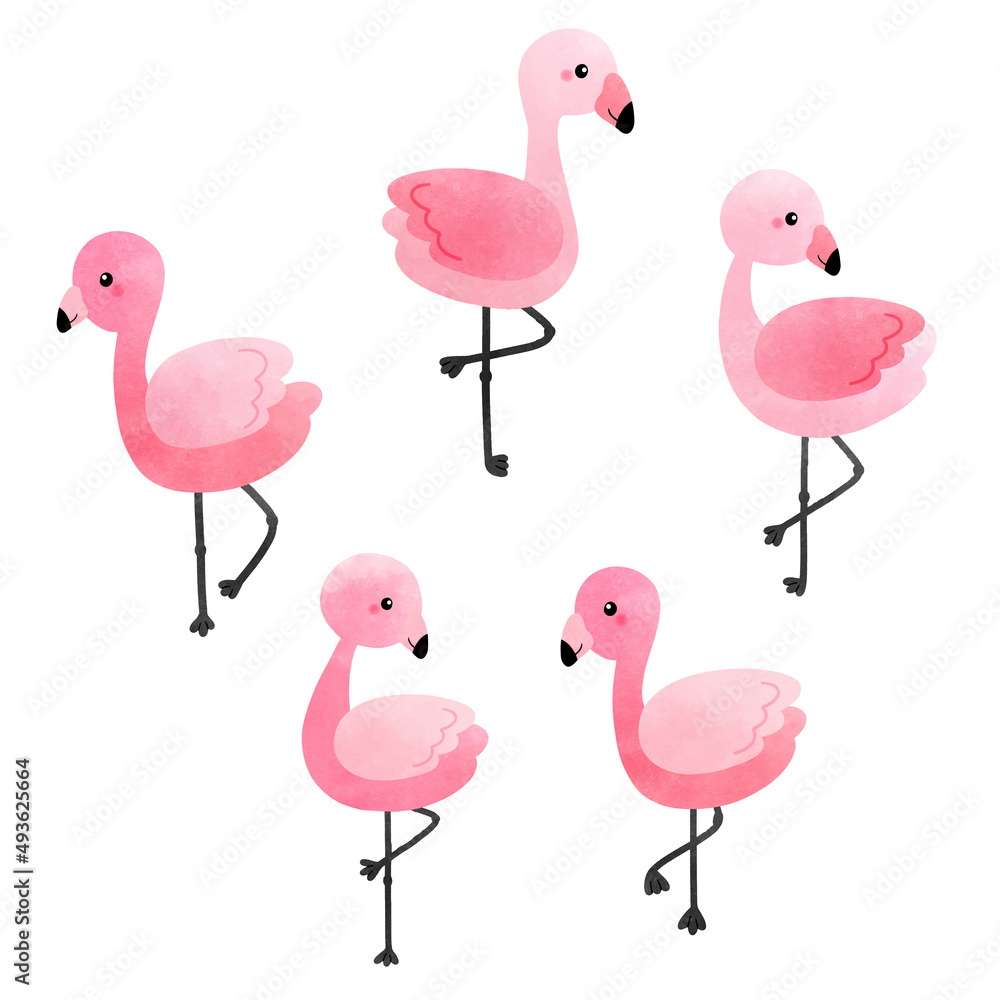Fototapeta premium Tropical flamingo, pink flamingo vector illustration