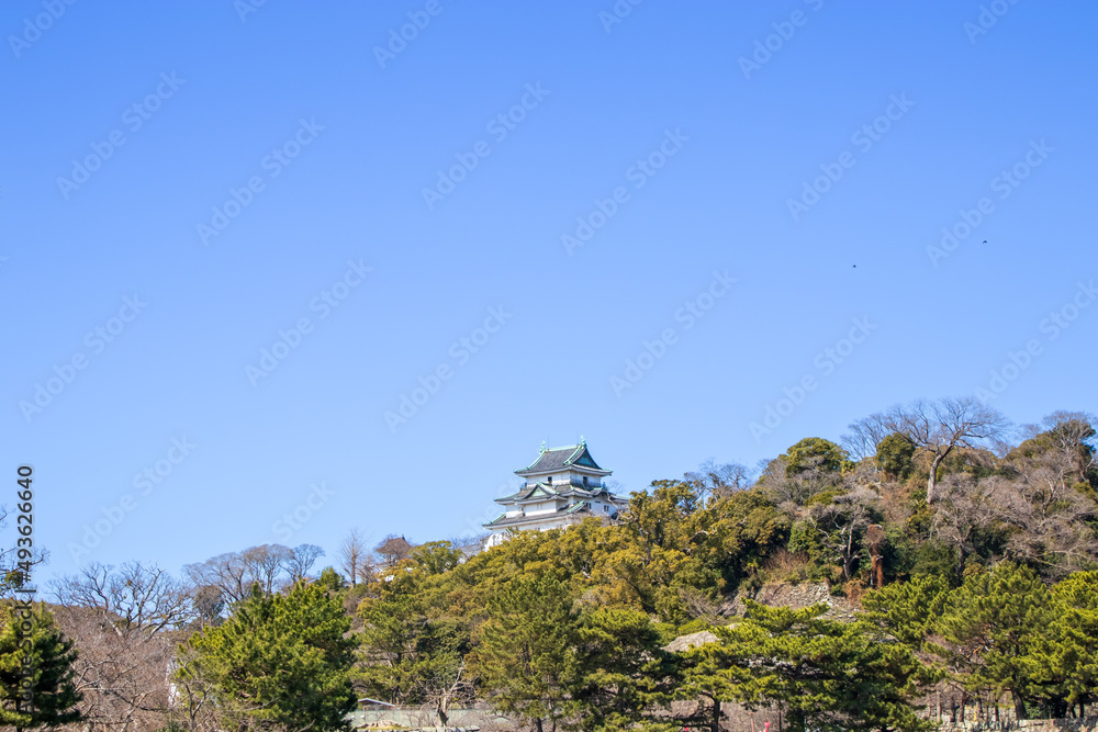 日本の城郭の遠景
