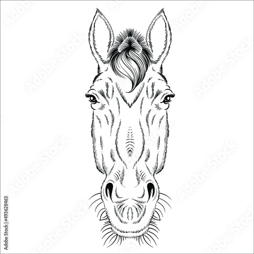 The Vector logo horse for T-shirt print design or outwear. Hunting style horse background. This drawing would be nice to make on the black fabric or canvas.