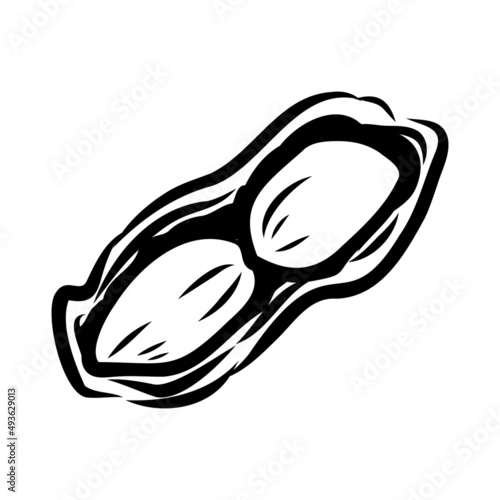 Peanut nut seed vector. Isolated on white background. Peanut butter food ingredient. Engraved hand drawn peanut illustration in retro vintage style. Organic Food, cosmetics, treatment component