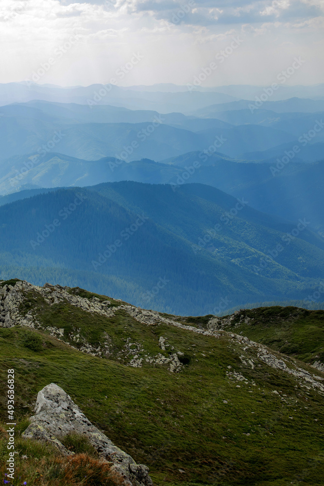 Carpathians mountain range at summer morning. Beauty of wild virgin Ukrainian nature. Peacefulness Carpathians mountain range at summer morning. Beauty of wild virgin Ukrainian nature. Peacefulness
